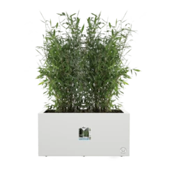 Elho Vivo Next Lang Wielen 80cm - Wit -Natur Bloemen Winkel vivo next lang wielen 80cm wit 5 1