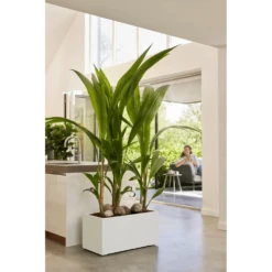 Elho Vivo Next Lang Wielen 80cm - Wit -Natur Bloemen Winkel vivo next lang wielen 80cm wit 7 1