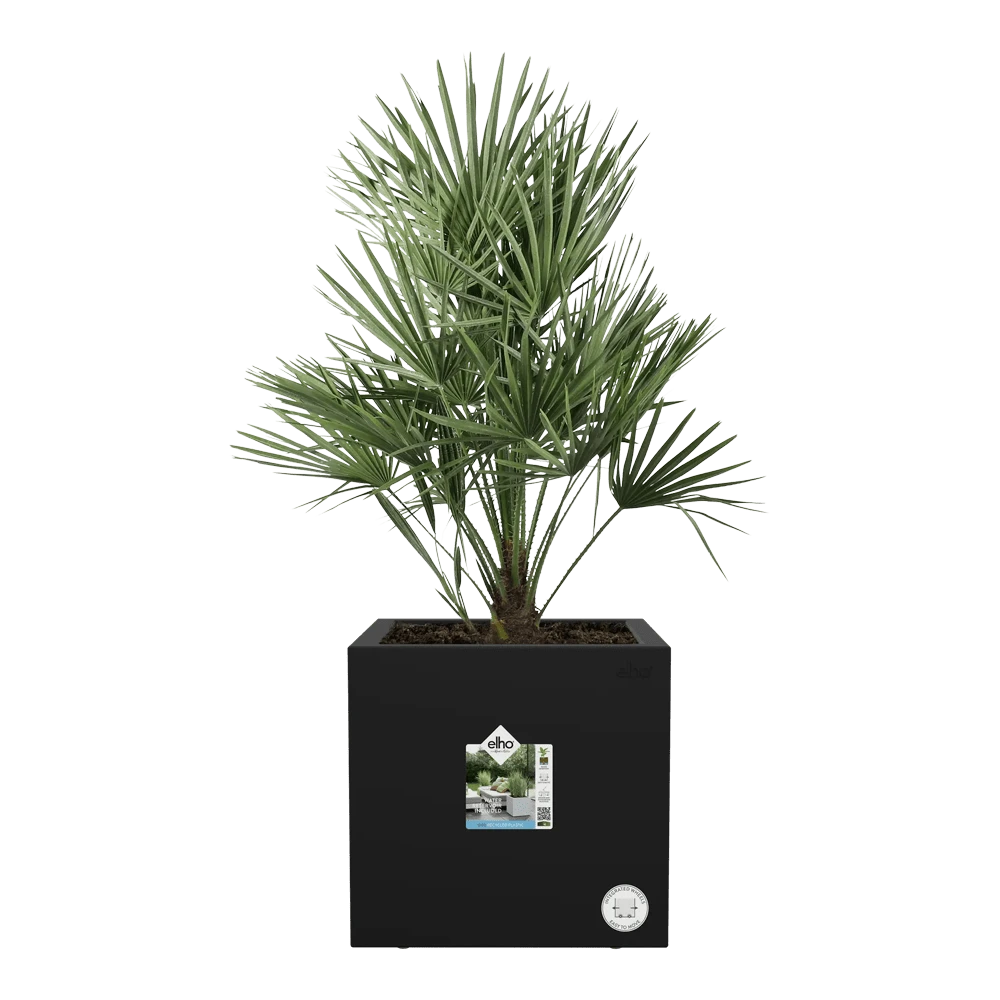 Elho Vivo Next Vierkant Wielen 30cm - Living Black 6 Elho Vivo Next Vierkant Wielen 30cm - Living Black - Afbeelding 4