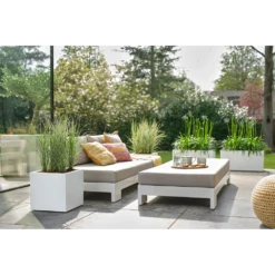 Elho Vivo Next Vierkant Wielen 40cm - Wit 15 Elho Vivo Next Vierkant Wielen 40cm - Wit -Natur Bloemen Winkel vivo next vierkant wielen 40cm wit 7 1