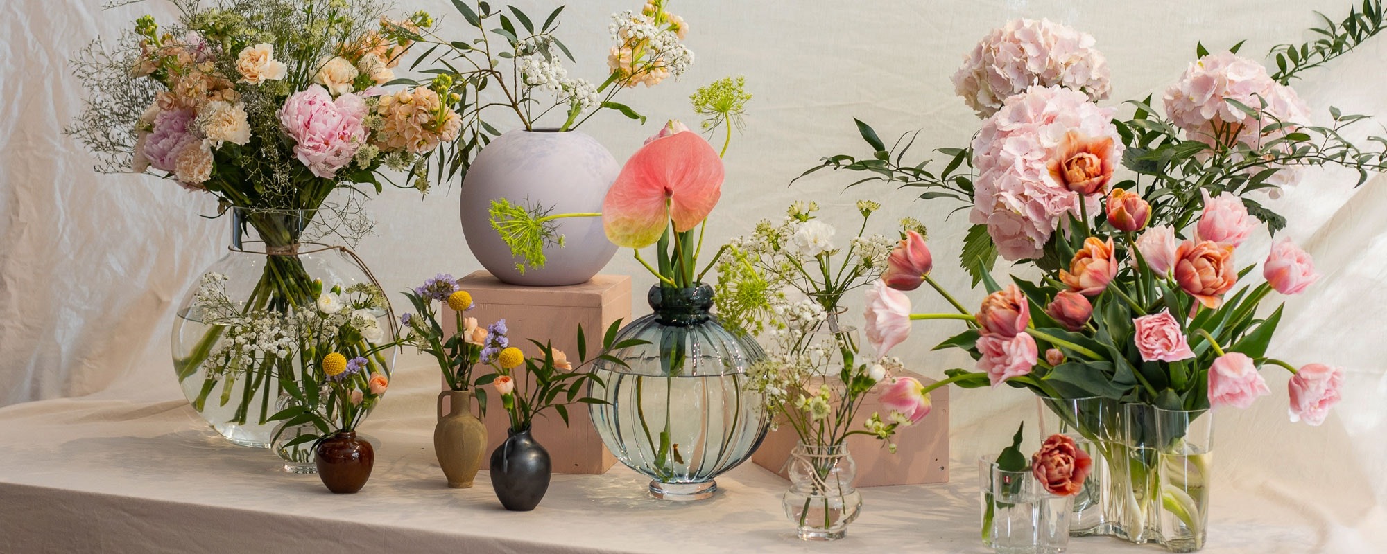 Natur Bloemen Winkel -Natur Bloemen Winkel 2cd22844 9c31 4f8c 9fdf 3ab0ca2a